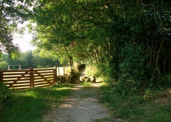 Chemin près du cimetière