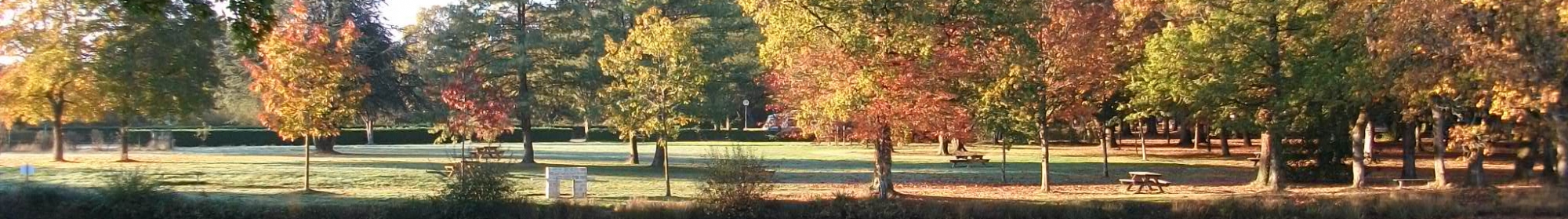 Etang des Biches en automne