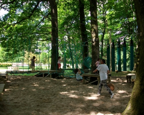 Jeux dans les arbres