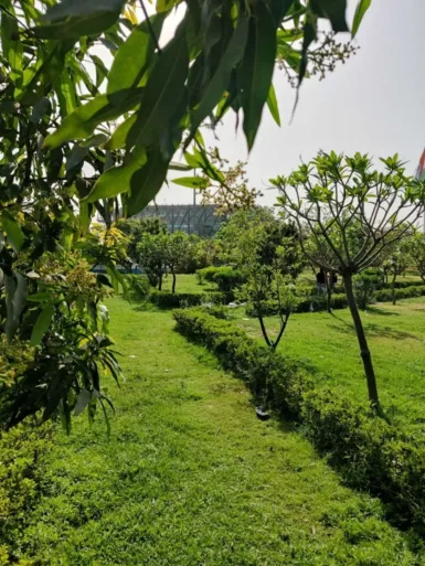 a green field with trees