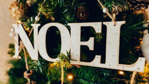 A wooden noel sign hanging from a christmas tree